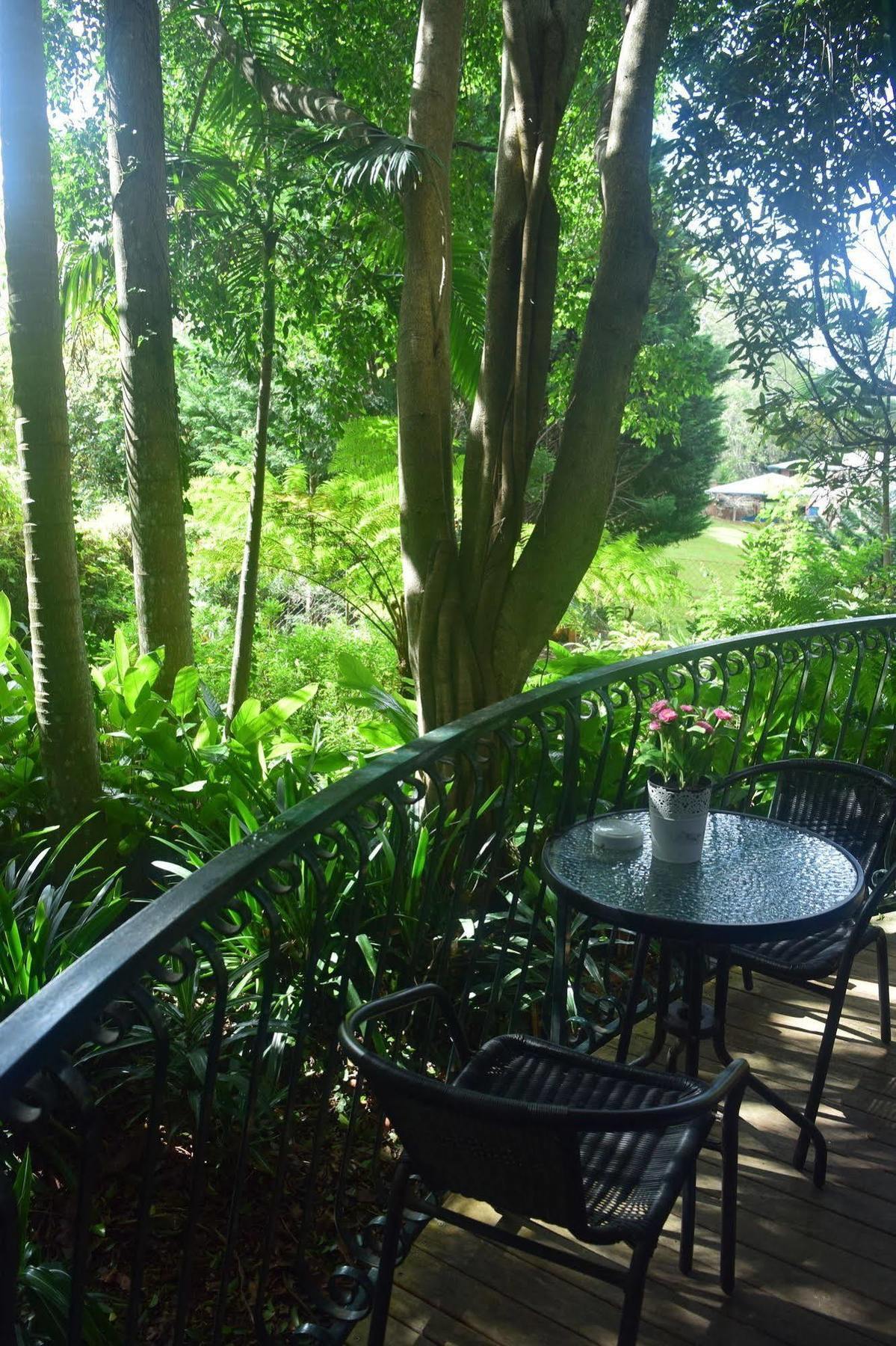 Chalet On Gallery Walk - King Bed, Spa, Fireplace, Wifi & Netflix, Linger A While 마운트 탬보린 외부 사진